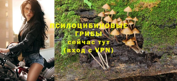 MESCALINE Арсеньев
